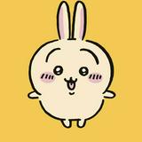 （分類：）位於 。 由 happybuyyyyy 提交（商品編號 1384620354，圖片 1）。簡介： 。