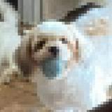 (Category: ) located in . Submitted by nmiagiamn (Listing ID 1363812566, Image 1). Description: .