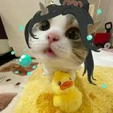 (Category: ) located in . Submitted by bborky (Listing ID 1366376996, Image 1). Description: .