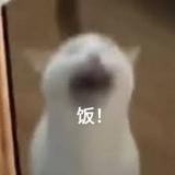 （分類：）位於 。 由 r12090 提交（商品編號 1375459618，圖片 1）。簡介： 。