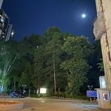 （分類：）位於 。 由 baditdith_54 提交（商品編號 1308669925，圖片 1）。簡介： 。