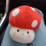 (Category: ) located in . Submitted by bb_mushroom (Listing ID 1368312525, Image 1). Description: .