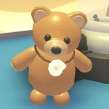 (Category: ) located in . Submitted by adoptme.sale.cheap (Listing ID 1372117282, Image 1). Description: .