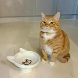 由 tomwongki (刊登 ID 1385208578，圖片 1) 提交，位於 的 (類別：)，說明：。