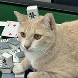 由 wayne2005 (刊登 ID 1327360892，圖片 1) 提交，位於 的 (類別：)，說明：。