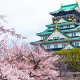 （分類：）位於 。 由 japanflyer 提交（商品編號 1382632418，圖片 1）。簡介： 。