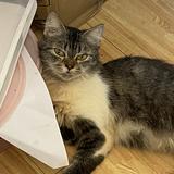 (Category: ) located in . Submitted by shanet. (Listing ID 1385282122, Image 1). Description: .