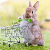 (Category: ) located in . Submitted by theshoppingbunny (Listing ID 1351093942, Image 1). Description: .