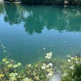 (Category: ) located in . Submitted by pepsicoola (Listing ID 1377159205, Image 1). Description: .