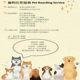 （分類：）位於 。 由 lucky_pets 提交（商品編號 1326527003，圖片 1）。簡介： 。