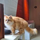 (Kategori: ) berada di . Dikirim oleh sha05preloved (ID iklan 1328490112, Gambar 1). Deskripsi: .