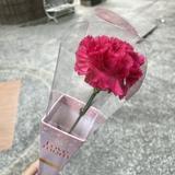 由 luyijuu (刊登 ID 1385270770，圖片 1) 提交，位於 的 (類別：)，說明：。