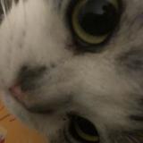 （分類：）位於 。 由 12345678922 提交（商品編號 1380857357，圖片 1）。簡介： 。
