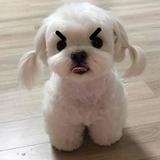 (Category: ) located in . Submitted by blindfoldc0de (Listing ID 1356782407, Image 1). Description: .
