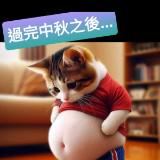 （分類：）位於 。 由 lokaman9999999 提交（商品編號 1279517955，圖片 1）。簡介： 。