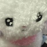 （分類：）位於 。 由 ouoyuuuu 提交（商品編號 1371147952，圖片 1）。簡介： 。