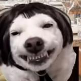 （分類：）位於 。 由 smellydog_ 提交（商品編號 1383742230，圖片 1）。簡介： 。