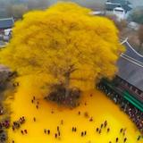 （分類：）位於 。 由 thinkitbig 提交（商品編號 1350457330，圖片 1）。簡介： 。
