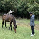 (Kategori: ) berada di . Dikirim oleh alifalghifariii (ID iklan 1343359462, Gambar 1). Deskripsi: .