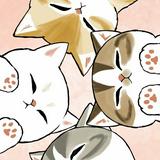 (Category: ) located in . Submitted by reia22 (Listing ID 1373208307, Image 1). Description: .