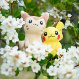 (Category: ) located in . Submitted by chromexheart (Listing ID 1379330560, Image 1). Description: .