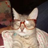 (Category: ) located in . Submitted by julajulyy (Listing ID 1456289628, Image 1). Description: .