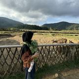 (Kategori: ) berada di . Dikirim oleh lulualawiyah_ (ID iklan 1326154555, Gambar 1). Deskripsi: .