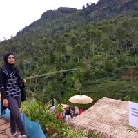 (Kategori: ) berada di . Dikirim oleh syafika.kamil2010 (ID iklan 1369933766, Gambar 1). Deskripsi: .