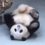 由 chienooo (刊登 ID 1320603300，圖片 1) 提交，位於 的 (類別：)，說明：。