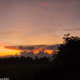 (Category: ) located in . Submitted by dette122 (Listing ID 1381696112, Image 1). Description: .