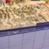 (Category: ) located in . Submitted by fishy1234567 (Listing ID 1379478220, Image 1). Description: .