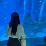 (Category: ) located in . Submitted by lovedbykeik (Listing ID 1352274413, Image 1). Description: .