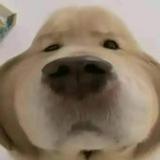 （分類：）位於 。 由 geeegeees 提交（商品編號 1327811515，圖片 1）。簡介： 。