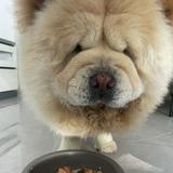 (Category: ) located in . Submitted by shobiyappy (Listing ID 1200110082, Image 1). Description: .