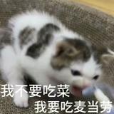 （分類：）位於 。 由 carosamaxx 提交（商品編號 1384860360，圖片 1）。簡介： 。