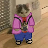 (Category: ) located in . Submitted by iggy7 (Listing ID 1380364666, Image 1). Description: .