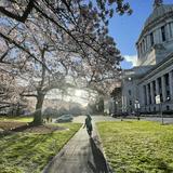 (Category: ) located in . Submitted by jah_ramos (Listing ID 1362259147, Image 1). Description: .