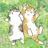 (Category: ) located in . Submitted by shop.abys (Listing ID 1378015675, Image 1). Description: .