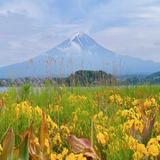 （分類：）位於 。 由 pohan0427 提交（商品編號 1362394579，圖片 1）。簡介： 。