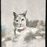 由 yishe2012 (刊登 ID 1374794695，圖片 1) 提交，位於 的 (類別：)，說明：。