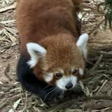 (Category: ) located in . Submitted by allthings__ (Listing ID 1305701468, Image 1). Description: .