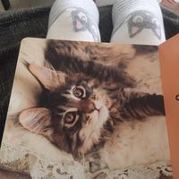 (Category: ) located in . Submitted by jenney.liu (Listing ID 1444061573, Image 1). Description: .