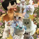(Category: ) located in . Submitted by kicktheflames (Listing ID 1329050511, Image 1). Description: .