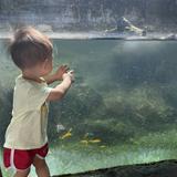 (Category: ) located in . Submitted by fish.mama (Listing ID 1382749925, Image 1). Description: .