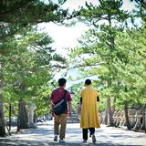 （分類：）位於 。 由 as524 提交（商品編號 1384591167，圖片 1）。簡介： 。