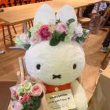 （分類：）位於 。 由 hillslovecarrie 提交（商品編號 1361399211，圖片 1）。簡介： 。