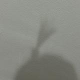 (Category: ) located in . Submitted by ji4huiii (Listing ID 1395497310, Image 1). Description: .