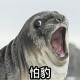 由 kaka103 (刊登 ID 1342343980，圖片 1) 提交，位於 的 (類別：)，說明：。