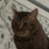(Category: ) located in . Submitted by lc058 (Listing ID 1369850442, Image 1). Description: .