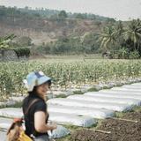 (Kategori: ) berada di . Dikirim oleh chill.idd (ID iklan 1333023330, Gambar 1). Deskripsi: .